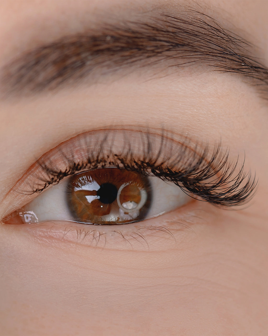Lash Resurrection – Browhaus SG